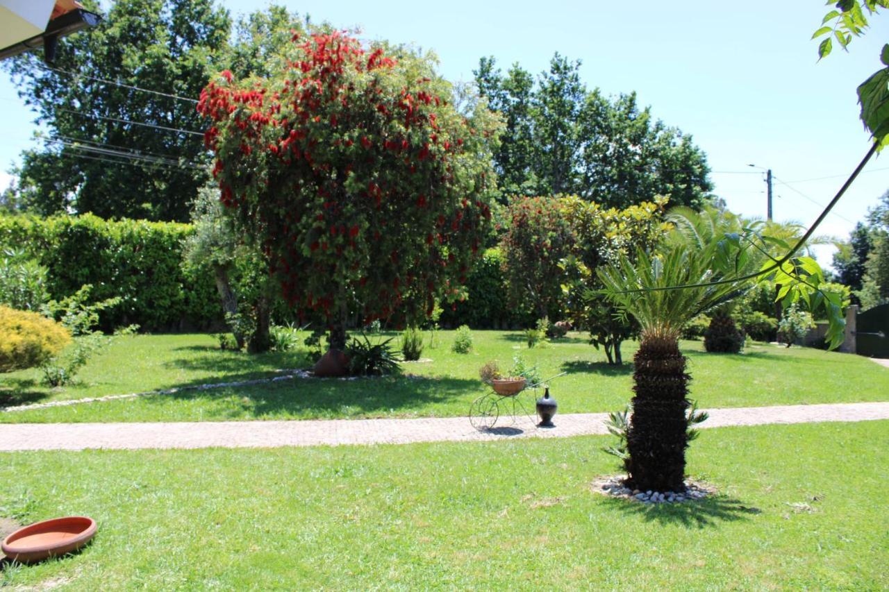 The Oak'S Wolf-Country House Fafe Luaran gambar